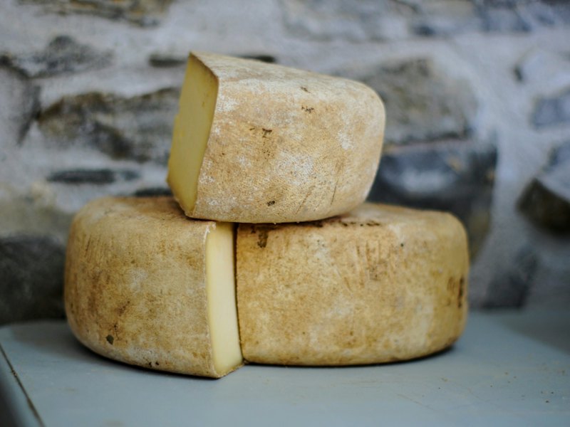 Cheddar Cheese Block